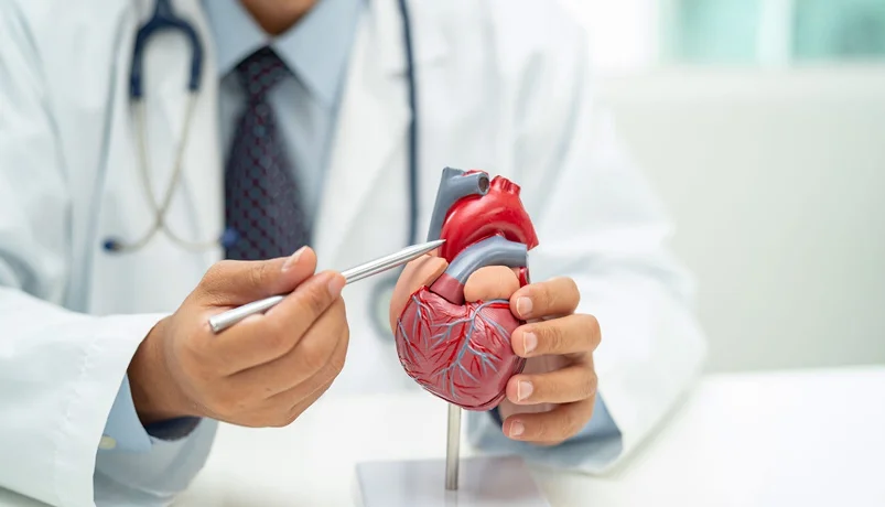 Cardiology