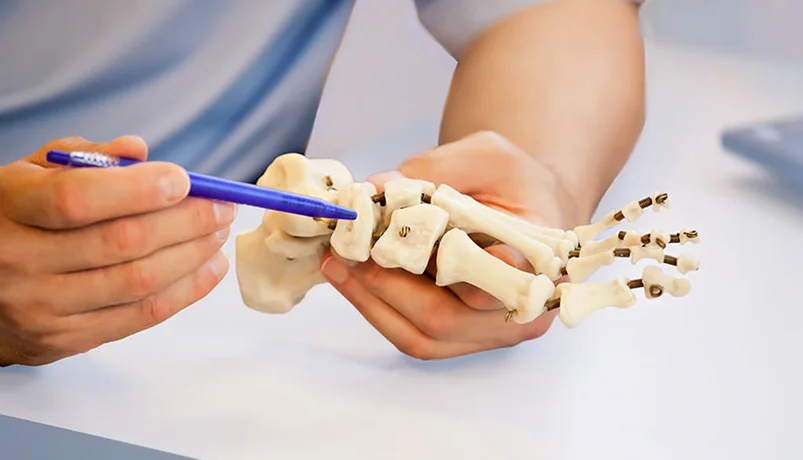 Orthopedics
