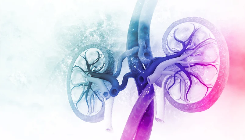 Nephrology